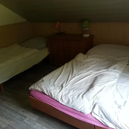 Orman Evi Rodinna Chata