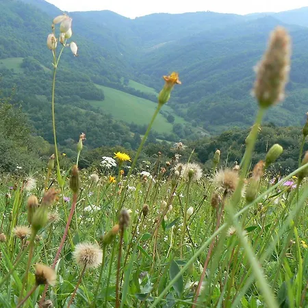 Rodinna Chata Orman Evi
